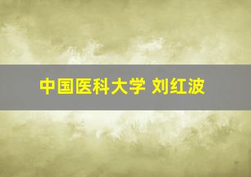 中国医科大学 刘红波